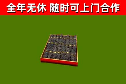静安回收海参